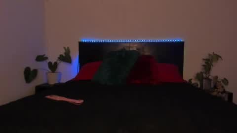 Girl next door online show from January 19, 11:53 pm