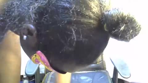 Snapshot of sasha_sexy769 chatting on November 15, 7:10 pm sasha_sexy769 online show from November 15, 7:10 pm