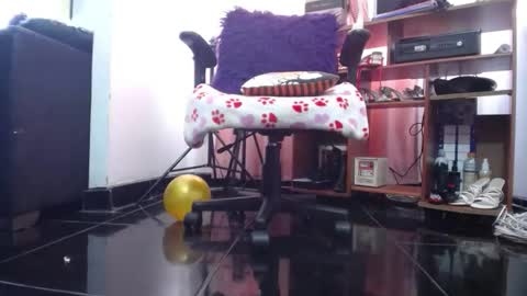 sasha start online show from February 1, 12:59 pm