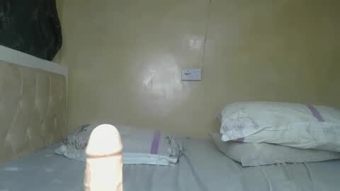 sassie_bee online show from December 3, 1:08 am