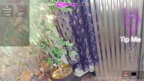 sassylatin45 online show from January 12, 1:21 am