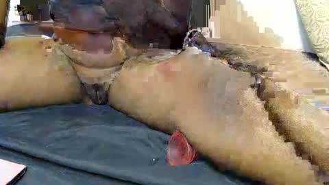 pety online show from January 31, 7:11 pm