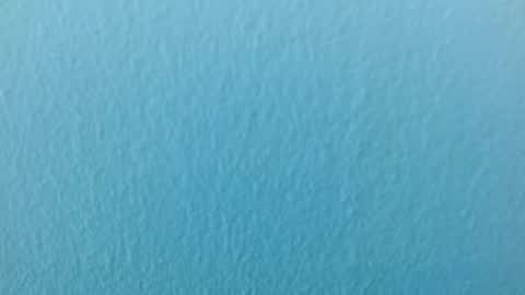 Snapshot of scarlet771776 chatting on November 29, 8:12 pm scarlet771776 online show from November 29, 8:12 pm