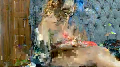 Snapshot of scarlet_seductress chatting on March 2, 11:22 pm scarlet seductress online show from March 2, 11:22 pm