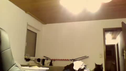 schnibschnab online show from October 9, 11:47 pm