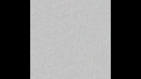 Scolw  online show from December 15, 11:47 am