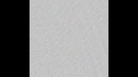 Scolw  online show from December 18, 12:11 pm