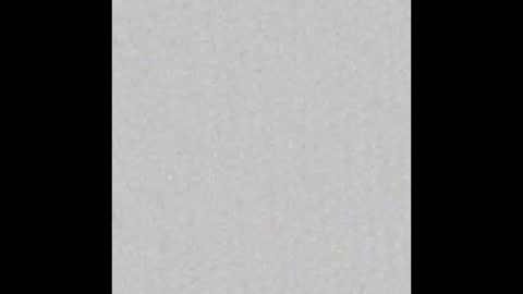 Scolw  online show from January 14, 12:00 pm