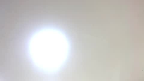 Damar online show from January 16, 5:50 pm