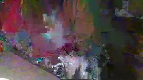 scotthard online show from November 23, 12:49 pm