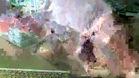 scotthard online show from March 14, 6:57 pm