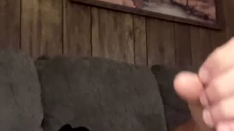 scottpolars online show from April 19, 4:17 pm