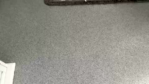 scottyc48 online show from November 8, 10:04 am