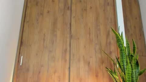 sebastian online show from February 3, 1:26 am