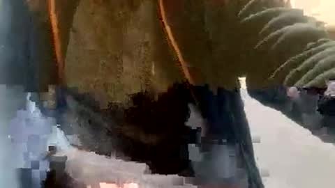 Snapshot of sebtin1979 chatting on February 23, 2:36 pm sebtin1979 online show from February 23, 2:36 pm