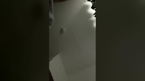 sedaliasens online show from March 9, 7:45 am