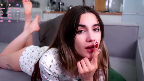 Slavia online show from November 24, 1:22 pm