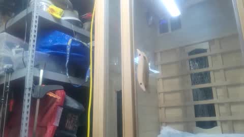 Seeker online show from October 26, 11:09 pm