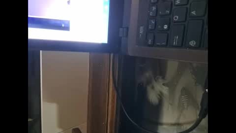 segaiolo21cm online show from April 13, 9:31 pm