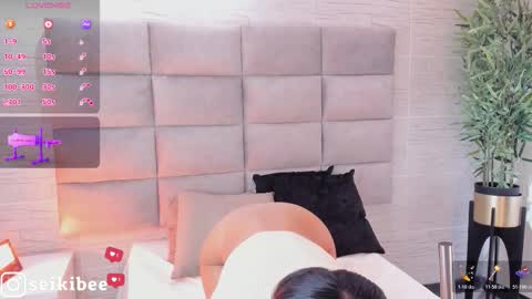 Snapshot of seikibee chatting on February 21, 4:24 am seikibee online show from February 21, 4:24 am