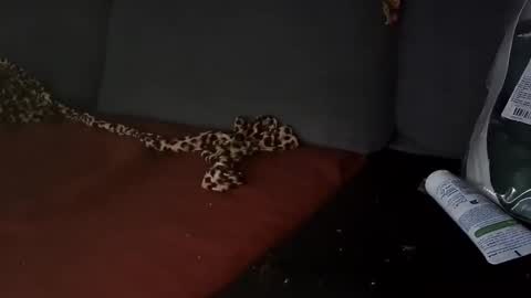 Julian Kinky Bi-guy online show from March 28, 9:53 am