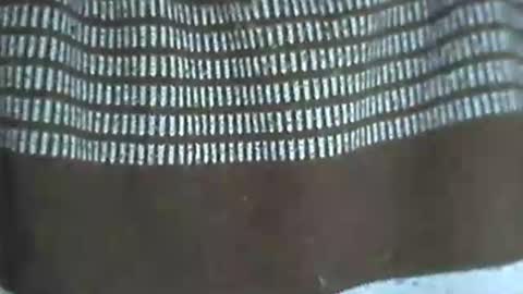 Snapshot of selim_1980 chatting on November 14, 10:18 pm selim selim online show from November 14, 10:18 pm