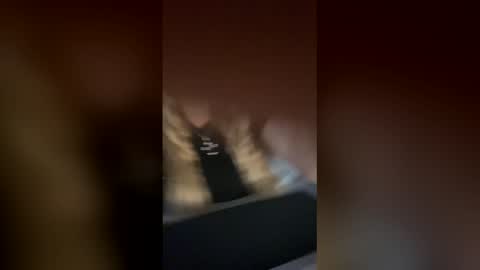 Alina online show from November 25, 10:15 am