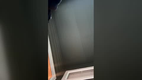 sensay mtz online show from March 23, 1:09 am