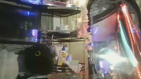 sequoia8888 online show from October 29, 7:26 pm