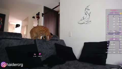 Snapshot of setth_69 chatting on February 7, 6:00 pm setth online show from February 7, 6:00 pm