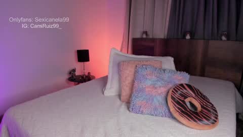 Snapshot of sexicanela99 chatting on December 11, 1:49 pm ... Camila ... online show from December 11, 1:49 pm