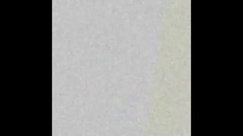 dankdiggler online show from December 2, 10:09 am