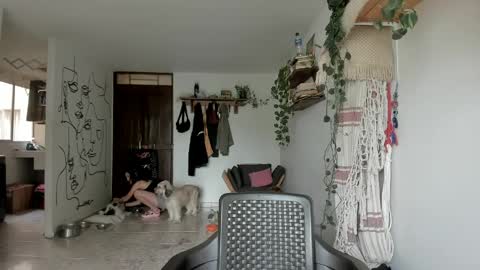         online show from March 17, 2:53 pm