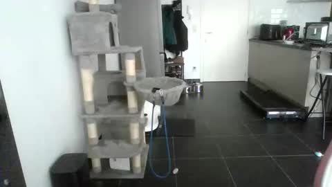 Snapshot of sexy866880 chatting on February 17, 10:45 am sexy53 online show from February 17, 10:45 am