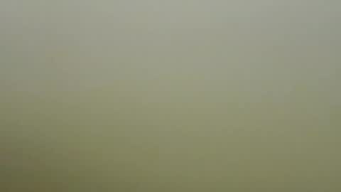 sexy_esther92 online show from January 19, 6:39 am