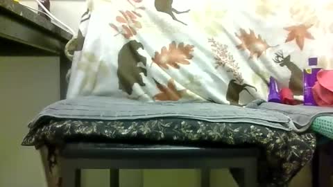 Daddy online show from February 13, 6:59 pm