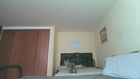 Alice Skay online show from July 27, 2:24 pm