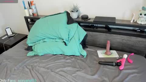 Snapshot of sexyariel15 chatting on October 22, 4:51 pm SexyAriel15 online show from October 22, 4:51 pm