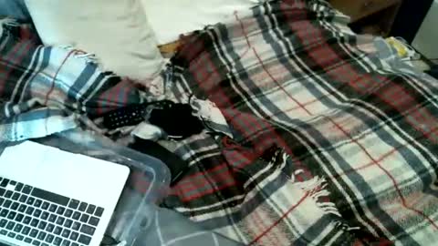 sexybiman74 online show from January 31, 10:52 pm