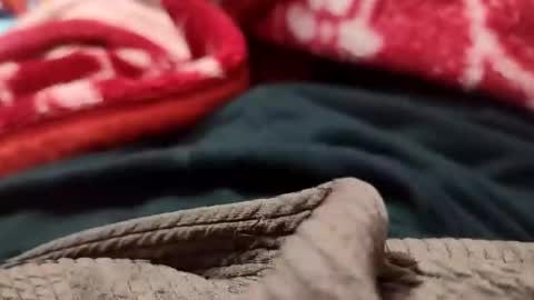 Sexyd online show from December 1, 5:35 pm