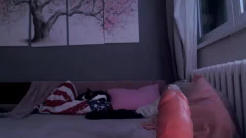 Snapshot of sexyella25 chatting on January 29, 11:56 pm .... ............ Onlyfans online show from January 29, 11:56 pm