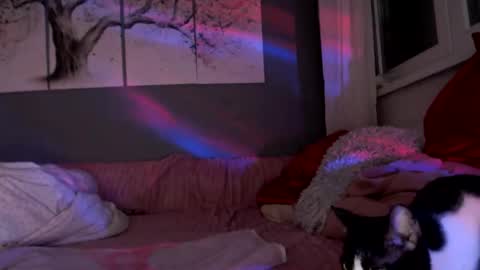     .... ............ Onlyfans   online show from March 22, 6:44 pm