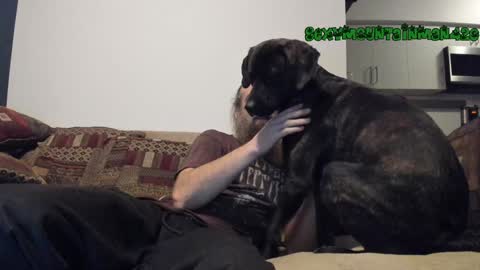 Snapshot of sexymountainman420 chatting on December 24, 7:06 am Sexymountainman420 online show from December 24, 7:06 am