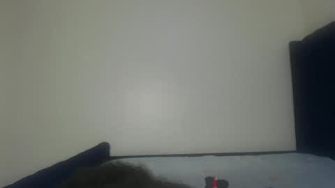 Shadow online show from November 29, 1:25 pm