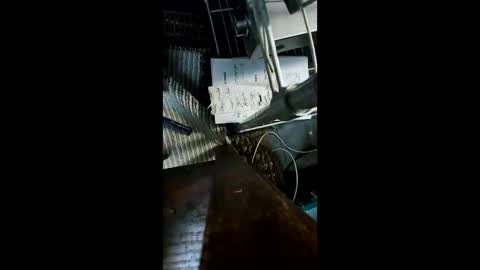 shagz2much online show from December 22, 9:00 am