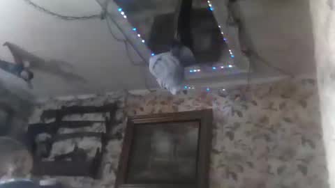 Snapshot of shanelle9270 chatting on September 14, 1:49 am shanelle9270 online show from September 14, 1:49 am