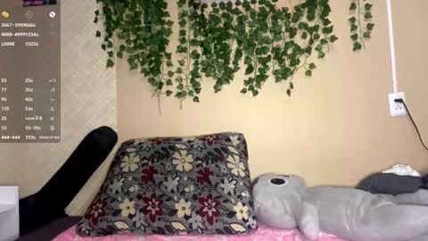 Kristin online show from November 9, 4:22 am