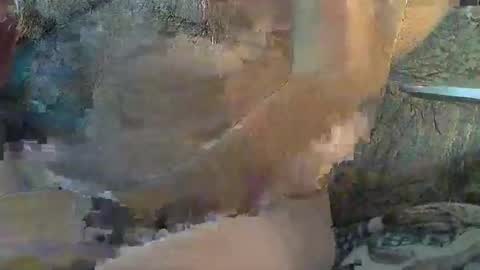 Snapshot of sharkey644 chatting on November 11, 4:40 pm Sharkey644 online show from November 11, 4:40 pm