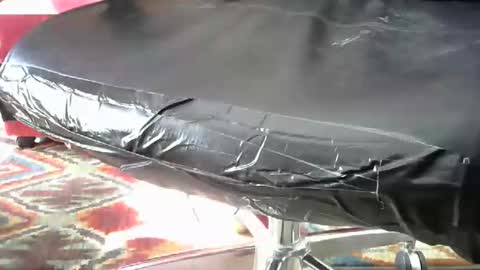 shavedassballs online show from October 31, 3:13 pm