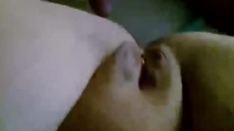 shay6371 online show from November 28, 7:55 am